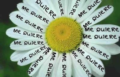 TE QUIERE