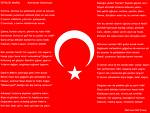 Türk Bayrağı
