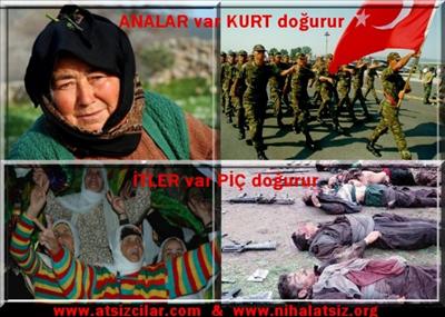 analarımız ve farkı
