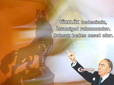 M.KEMAL