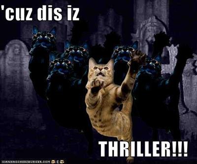 Kitty Thriller