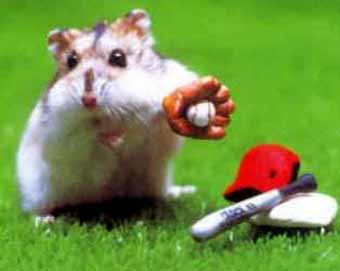 hampsterball