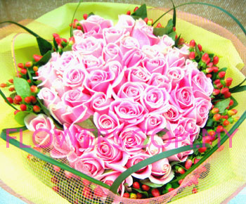 pink rose.