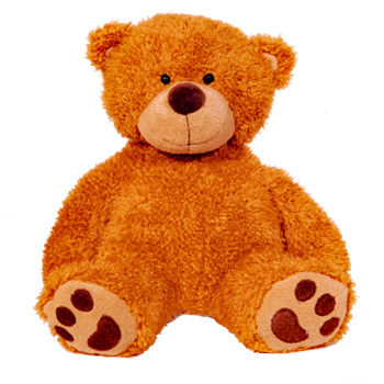 Cuddley Toy