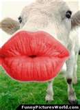 Big Kiss