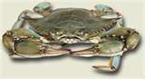 Crabs