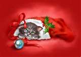 Kitty Christmas