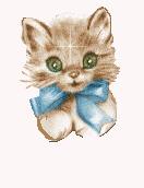 kedi