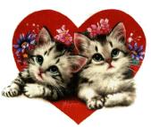 I love you