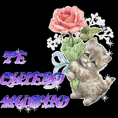 Te quiero