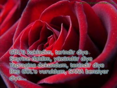 gül