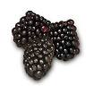 Boysenberry