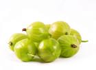 Gooseberry