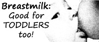 Breastmilk: good for toddlers too