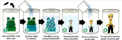 kurbaga-prens