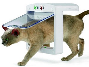 microchipcatflap-small
