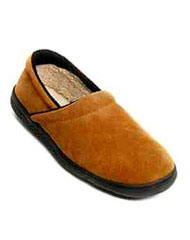 An Old Slipper