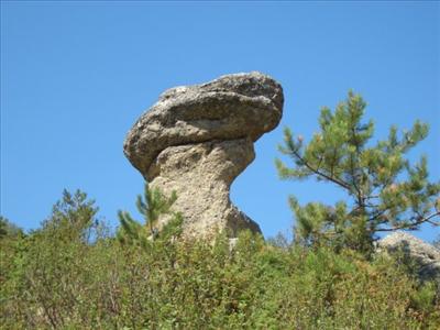 şapkalı gaya