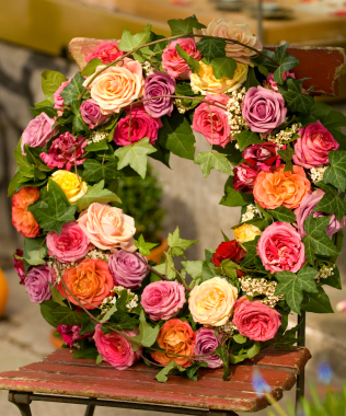 Mixed Roses