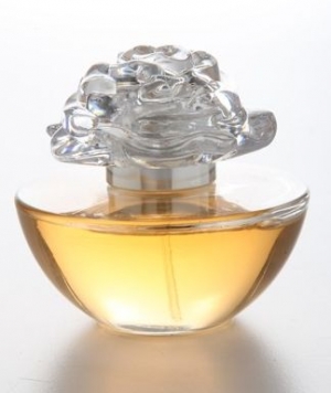fragrance