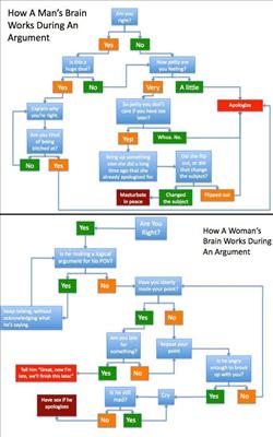 Argument flow chart