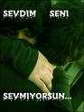 Sevmiyorsun?