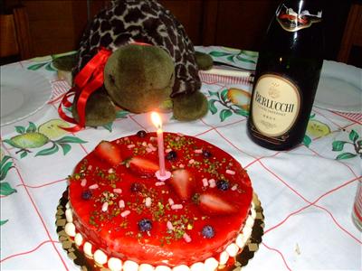 Lalla Happy Birthday