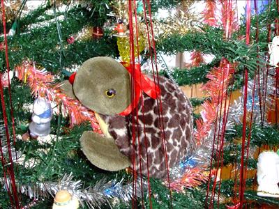 Lalla Merry Christmas 1