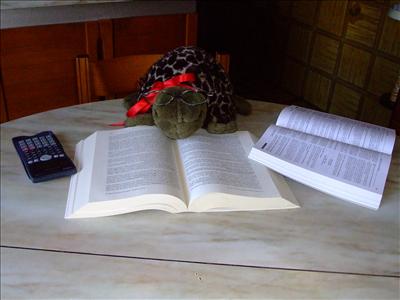 Lalla study