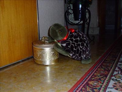 Lalla's going on a trip