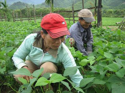 Lương Thiện
