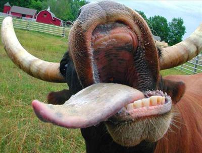 beso con lengua