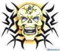 Skull
