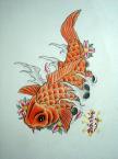 Koi