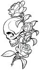 Skull and Roses