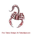 Scorpion