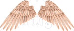Wings