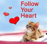 Follow You Heart♥