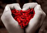 Friend(s) Heart♥