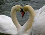 Friendship Heart ♥