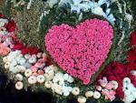 Flower Heart ♥