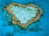 Beach Heart♥