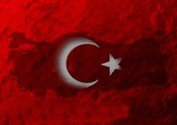 BAYRAK 1