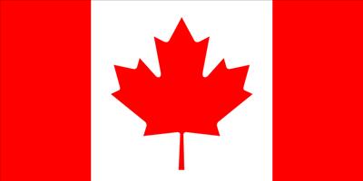 The Flag