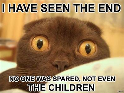 Prophet cat