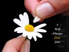 blomst