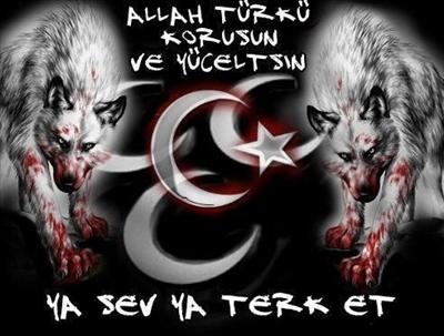 3 hilal