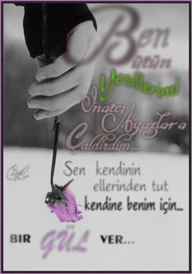bana bir gül