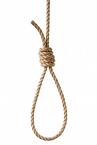 Hang 
