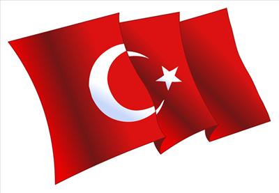TÜRK BAYRAĞI